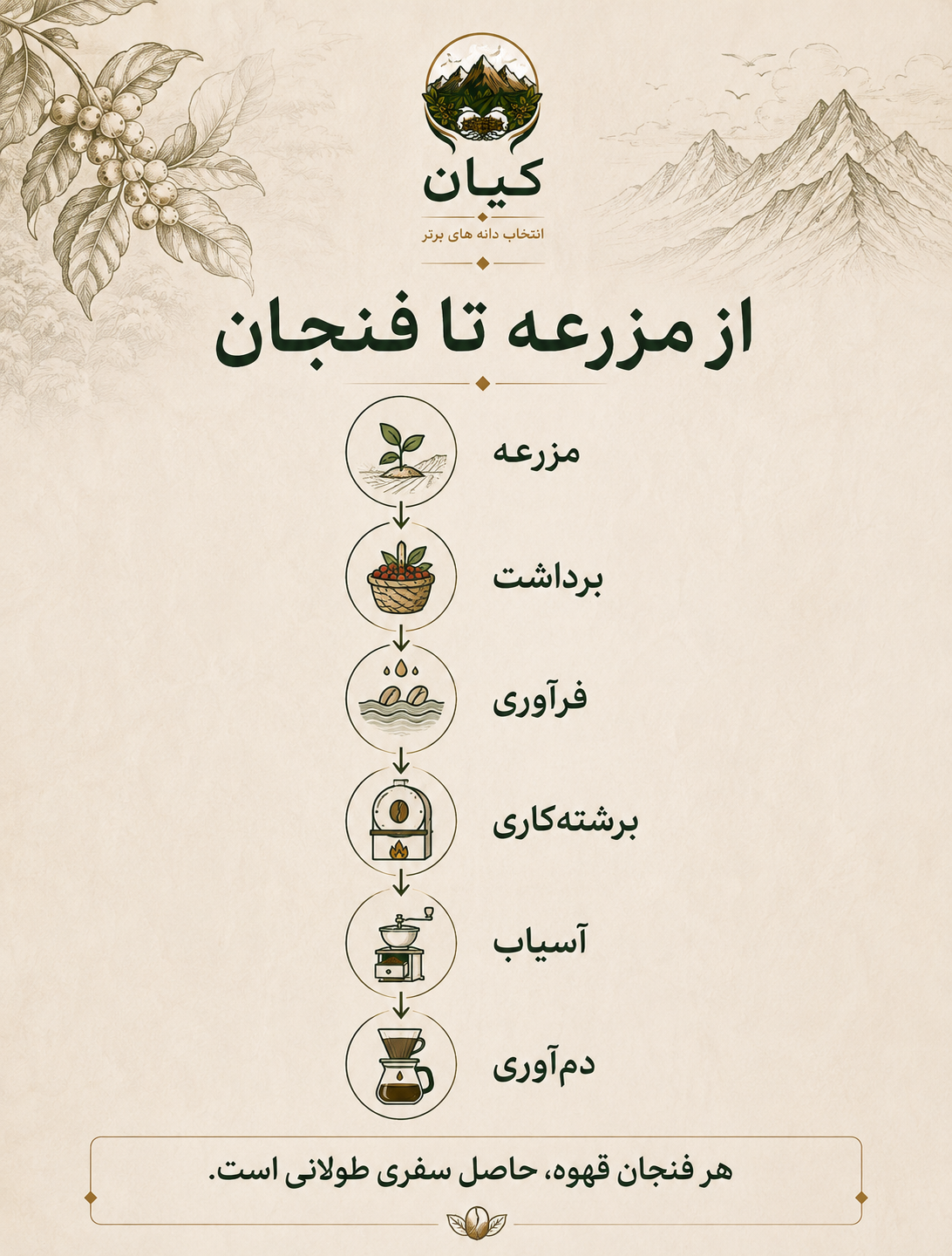 سفری از مزرعه تا فنجان