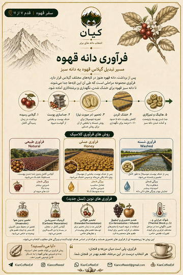 از مزرعه تا فنجان قسمت سوم