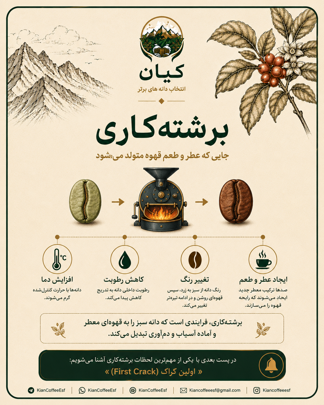 از مزرعه تا فنجان قسمت چهارم