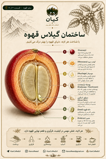 از مزرعه تا فنجان قسمت دوم